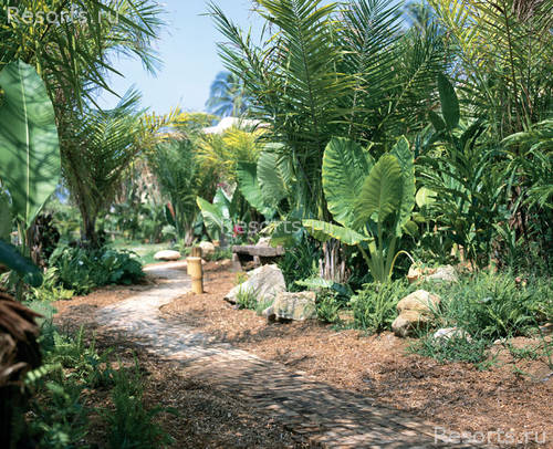 Evason Phuket Resort 16